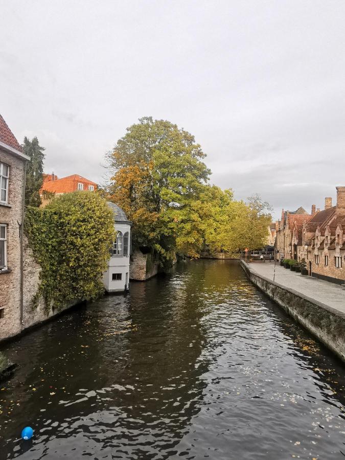 Nostalgia Homestay Bruges